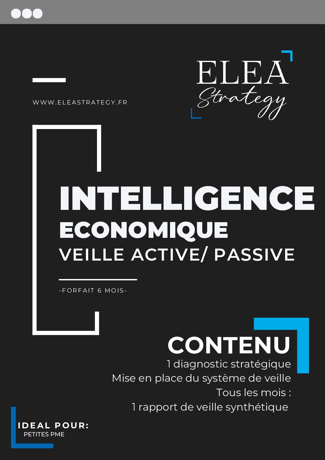 Intelligence économique : Plan de veille actif/passif
